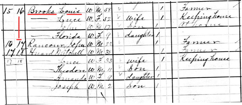 Image of portion of 1880 US Census showing Louis Brooks and Mitchel Huard